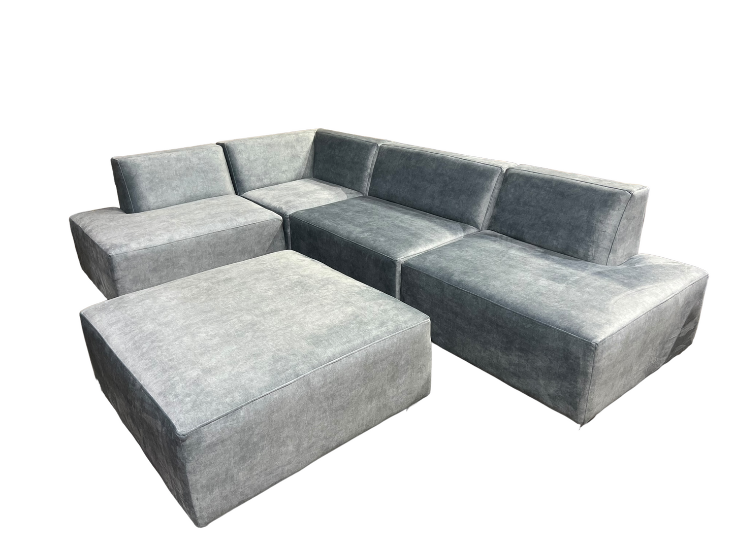 Bouvardia sectional