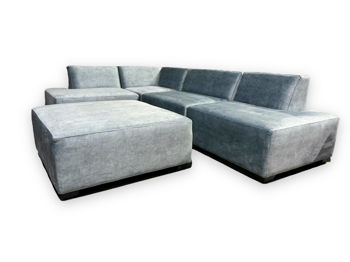 Bouvardia sectional